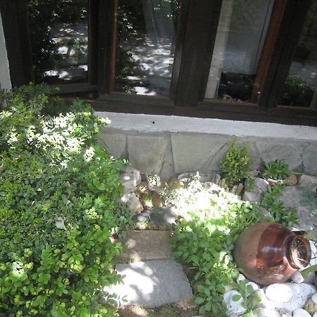 Guest House Voyno Dobrinishte Exterior foto