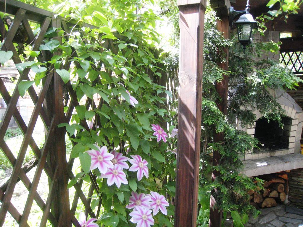 Guest House Voyno Dobrinishte Exterior foto